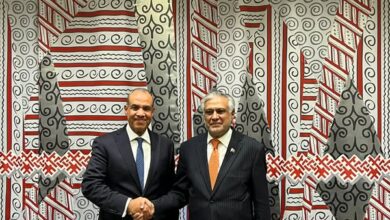 عبد العاطي يلتقي نائب رئيس الوزراء ووزير خارجية باكستان