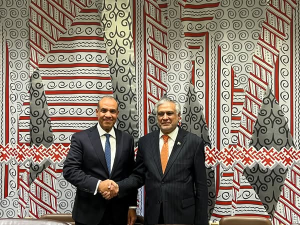 عبد العاطي يلتقي نائب رئيس الوزراء ووزير خارجية باكستان