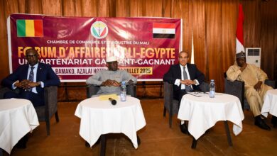 وزير الخارجية والهجرة يفتتح منتدى الأعمال المصري - المالي بمشاركة وزيرا الخارجية والتجارة والصناعة الماليين
