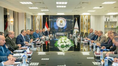 وزيرا الإنتاج الحربي والكهرباء يبحثان التدبير الموحد لاحتياجات شركات الكهرباء