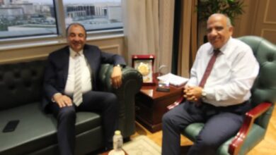 وزيرا الكهرباء وقطاع الأعمال يبحثان التعاون في مجالات تحسين كفاءة الطاقة