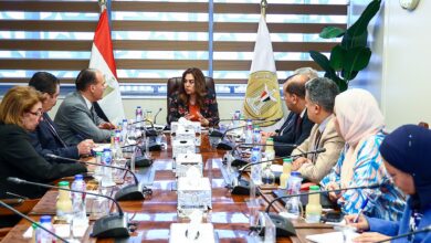 وزيرة التنمية المحلية تتابع الموقف التنفيذى لتطبيق الهوية البصرية في جميع المحافظات