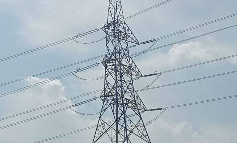 "قطاع الأعمال": "هايديليكو" تنتهي من تنفيذ مشروع خطوط ربط كهربائي في "الدلتا الجديدة"