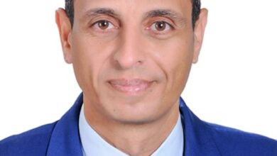 متابعة الانتخابات البرلمانية “مجلس الشيوخ” في مصر 2025