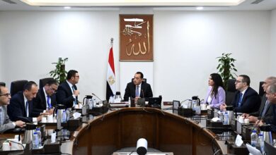 مدبولي يتابع مع وزير الإسكان موقف سكن لكل المصريين ومبادرة بيتك في مصر المقرر طرحها للمصريين بالخارج