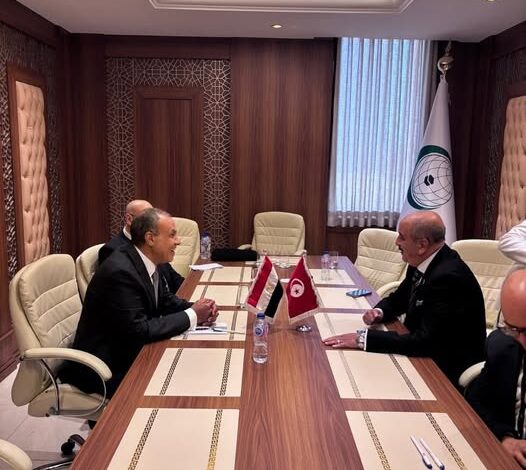 وزيرا خارجية مصر وتونس يبحثان العلاقات الثنائية والتطورات الإقليمية