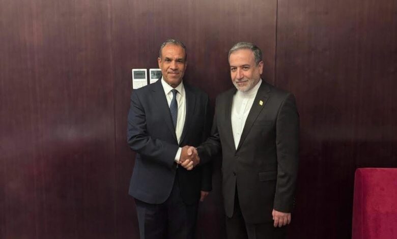 وزير الخارجية والهجرة يلتقي نظيره الإيراني