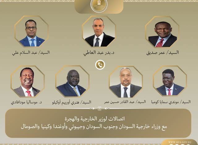 وزير الخارجية يُجري اتصالات مع عدد من نظرائه في الدول الأفريقية لتعزيز التعاون الثنائي والإقليمي