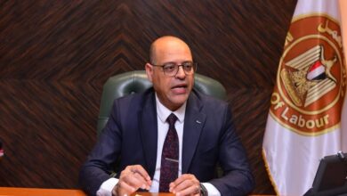 وزير العمل يُقرر إلغاء وإيقاف نشاط 4 شركات إلحاق عمالة بالخارج لمخالفتهم أحكام القانون خلال شهر واحد