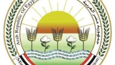 وزير الزراعة يعقد اجتماعًا لمتابعة آخر مستجدات تنفيذ محطة شتل القصب بمدينة إدفو