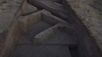 جامعة مدينة السادات وجامعة مانشستر تحققان إنجازًا أثريًا بارزًا في الحفائر والآثار