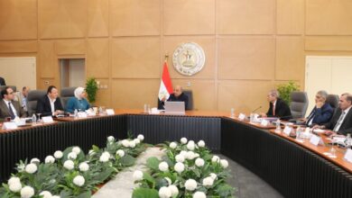 وزير الكهرباء يجتمع برؤساء شركات الإنتاج والنقل والتوزيع.. ويوجه بمواصلة تنفيذ خطة مجابهة ارتفاع الأحمال وزيادة الاستهلاك لتأمين الشبكة الموحدة وضمان استقرار التغذية الكهربائية