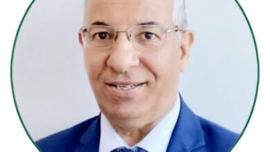 اليماني يكتب: مصر والتوجه نحو التنمية المستدامة