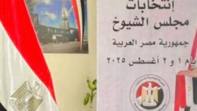 الفئات المستثناة من ممارسة حق الاقتراع في انتخابات مجلس الشيوخ وفقًا لقانون تنظيم مباشرة الحقوق السياسية