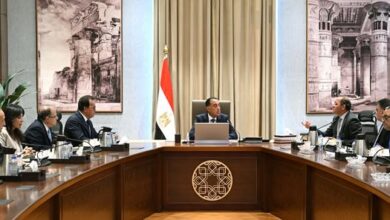 رئيس الوزراء يتابع جهود دعم صناعة الدواء في السوق المصرية ومؤشرات تطورها