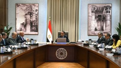 رئيس الوزراء يتابع جهود دعم وتوطين الصناعة في مصر