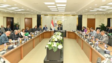 شيمي يترأس الجمعية العامة للقابضة للأدوية لاعتماد موازنة 2025-2026