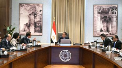 مدبولي يتابع موقف توافر الأدوية والمستلزمات الطبية