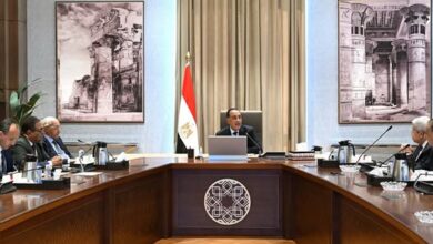 مدبولي يلتقي أعضاء اللجنة الاستشارية للشئون السياسية