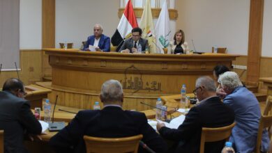 وزير الثقافة يترأس الجمعية العمومية للشركة القابضة للاستثمار في المجالات الثقافية والسينمائية