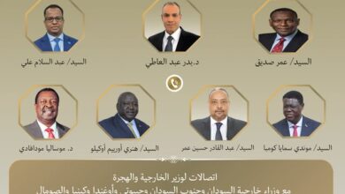 وزير الخارجية يُجري اتصالات مع عدد من نظرائه في الدول الأفريقية لتعزيز التعاون الثنائي والإقليمي