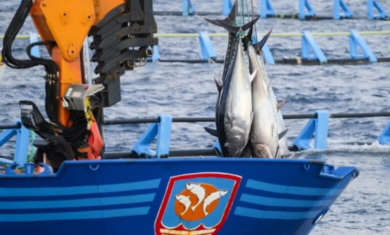 إيطاليا وليبيا تعملان على إبرام إتفاقية لتصدير الأسماك إلى أوروبا