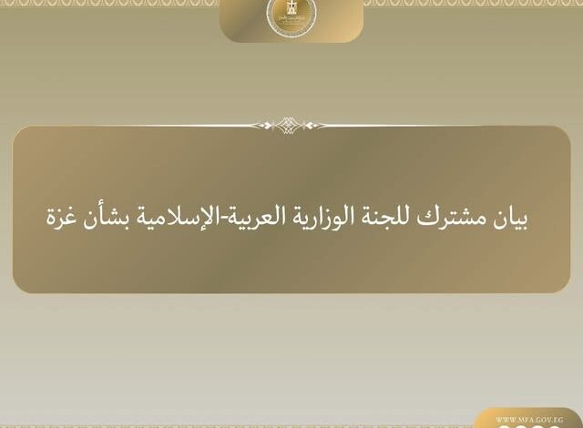 بيان مشترك صادر عن وزراء خارجية اللجنة العربية الإسلامية بشأن غزة