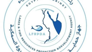 جهاز حماية وتنمية البحيرات والثروة السمكية يدعم واحة سيوة بمليون ذريعة سمكية