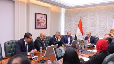 وزير العمل يلتقي وفدًا من شركة "eSpace" المتخصصة في تكنولوجيا المعلومات