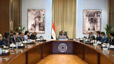 مدبولي يلتقي مسئولى شركة "صن ريف سولار" الصينية المتخصصة في إنتاج مكونات الطاقة المتجددة