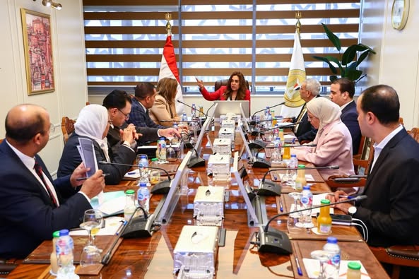 وزيرة التنمية تبحث مع رئيس صندوق الإسكان وقيادات الرقابة المالية وعدد من الوزارات الاستفادة من الخدمات التمويلية