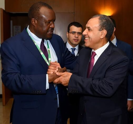 وزير الخارجية يلتقي رئيس برلمان عموم أفريقيا