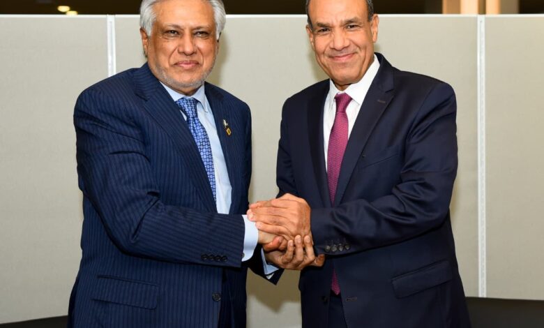 وزير الخارجية يلتقي نظيره الباكستاني على هامش فعاليات الشق رفيع المستوي للجمعية العامة