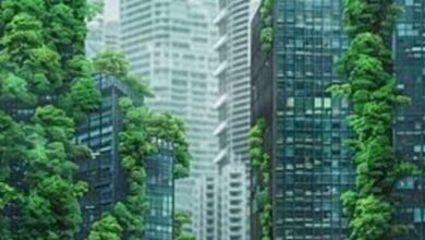 المدن العربية الخضراء.. دراسة تكشف دور النخيل والنيم في مواجهة التغيرات المناخية