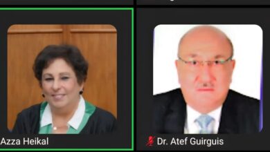 أ.د عزة هيكل: وحدة العرب ستكون من أجل البقاء.. خلال ندوة بكلية الدراسات الأفروأوروبية