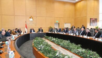 وزير الإسكان ورئيس الهيئة العربية للتصنيع يتابعان موقف تنفيذ مشروعات المبادرة الرئاسية "حياة كريمة"