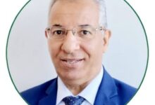 الطاقة المستدامة والشبكات الذكية
