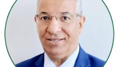 الطاقة المستدامة والشبكات الذكية