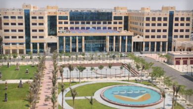 جامعة 6 أكتوبر تحصد مراكز متقدمة في امتحانات مزاولة المهنة 2025 بكلياتها الطبية