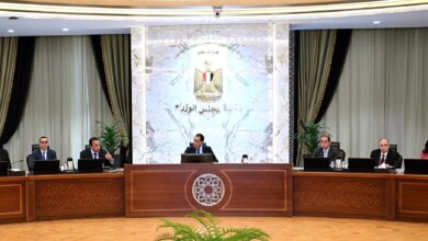 مدبولي يتابع جهود توفير الأدوية والمستلزمات الطبية وإجراءات توطين صناعة الدواء في مصر