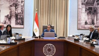 مدبولي يتابع مستجدات جهود فض التشابكات المالية بين جهات الدولة وبنك الاستثمار القومي