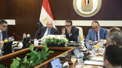 نائبا رئيس مجلس الوزراء يشهدان اجتماع مجلس إدارة الهيئة المصرية للشراء الموحد