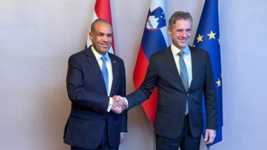 وزير الخارجية يلتقي رئيس وزراء سلوفينيا لبحث سبل تعزيز التعاون الثنائي