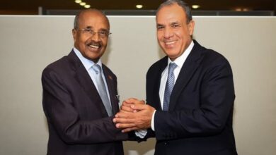 وزير الخارجية يلتقي نظيره الإريتري