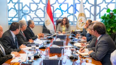 وزيرة التنمية تبحث مع المدير التنفيذي لمركز البيئة والتنمية للمنطقة العربية وأوروبا التعاو المشترك