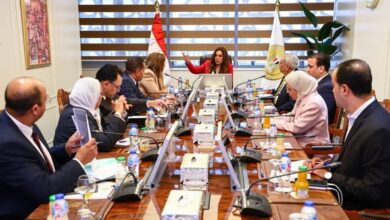 وزيرة التنمية تبحث مع رئيس صندوق الإسكان وقيادات الرقابة المالية وعدد من الوزارات الاستفادة من الخدمات التمويلية