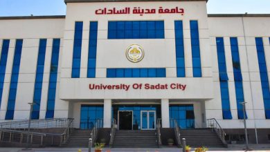 جامعة مدينة السادات تحقق إنجازًا علميًا جديدًا بإدراج مجلاتها ضمن معامل التأثير والاستشهادات المرجعية العربي (أرسيف) لعام 2025