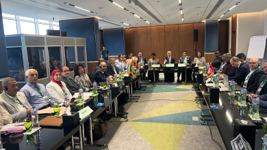 مصر تقود جهود إفريقيا للحد من سوء التغذية.. اجتماع تشاوري بالقاهرة لوضع استراتيجية التغذية 2026–2035