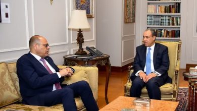 وزيرا "الخارجية" و"العمل" يناقشان الهجرة والعمالة المصرية بالخارج