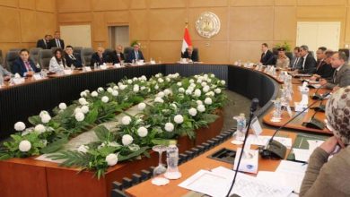 عصمت: عصمت إقامة بنية مؤسسية قوية لإدارة المشروعات النووية الاستراتيجية وتعزيز القدرات الوطنية